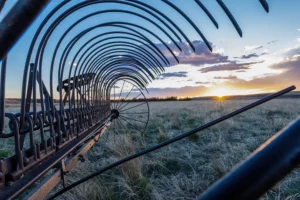 fine art print of old farming rake at sunset