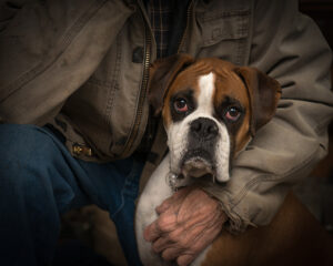photo of dog and owner